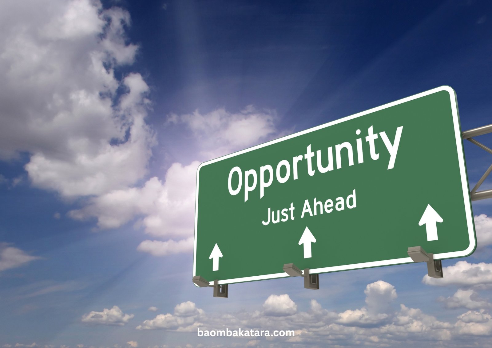 B2B & Opportunities